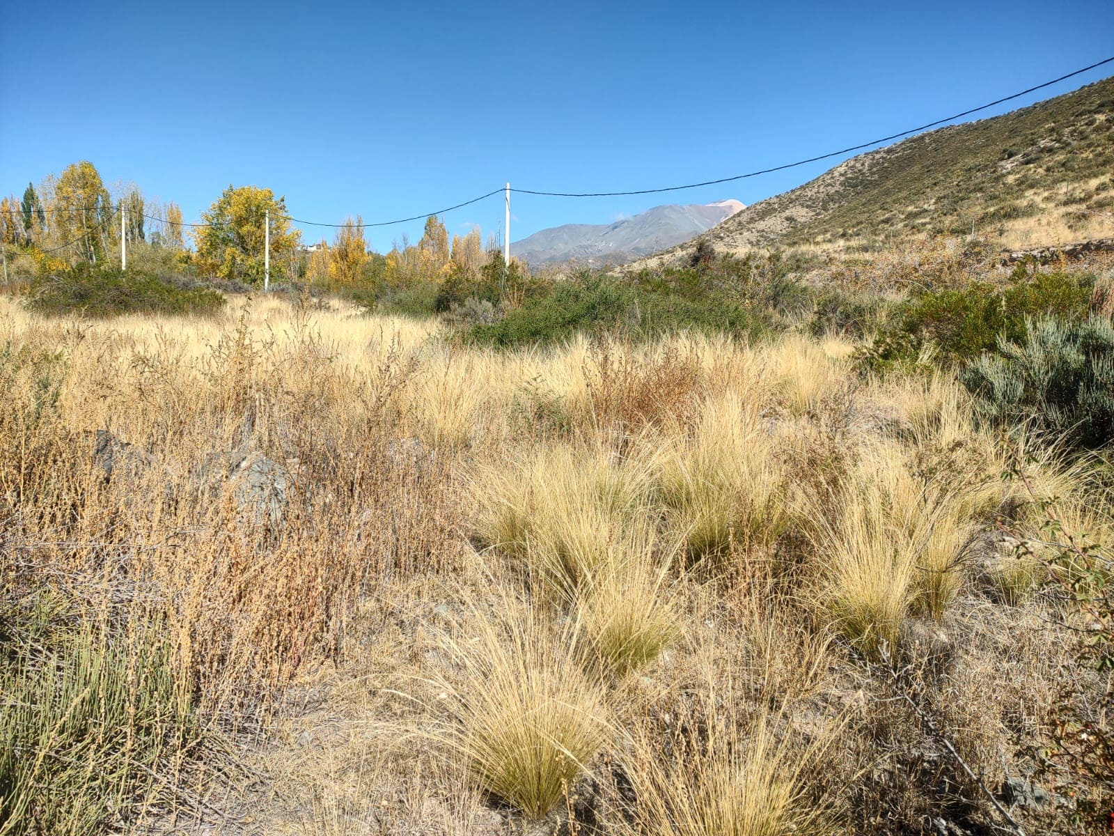 Lote, Ruta 89, oportunidad, proyecto, inversión